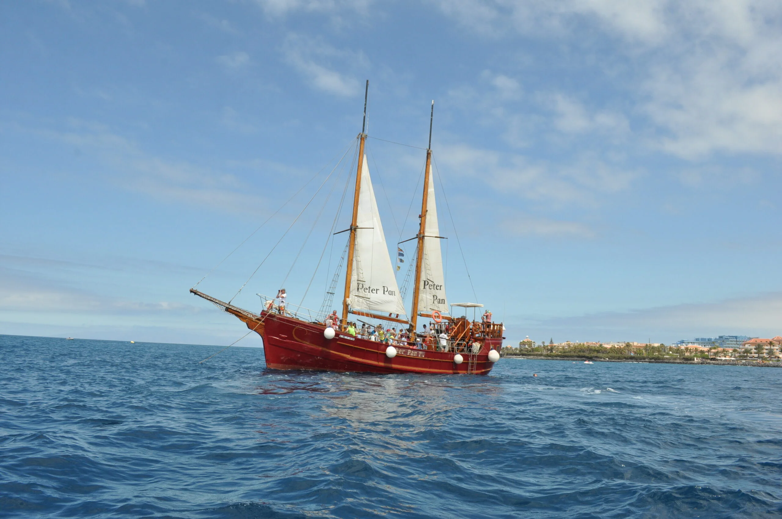 2-Hour Sailing Cruise for Dolphin and Whale Watching