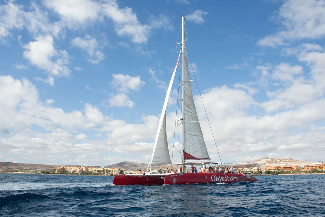 4-Hour Catamaran Cruise – Caleta de Fuste
