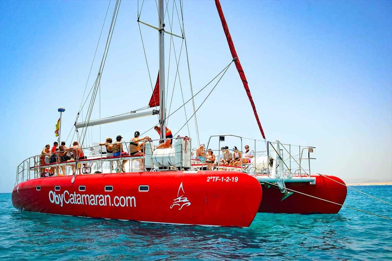 5-Hour Catamaran Cruise to Isla de Lobos with Transfer from the South