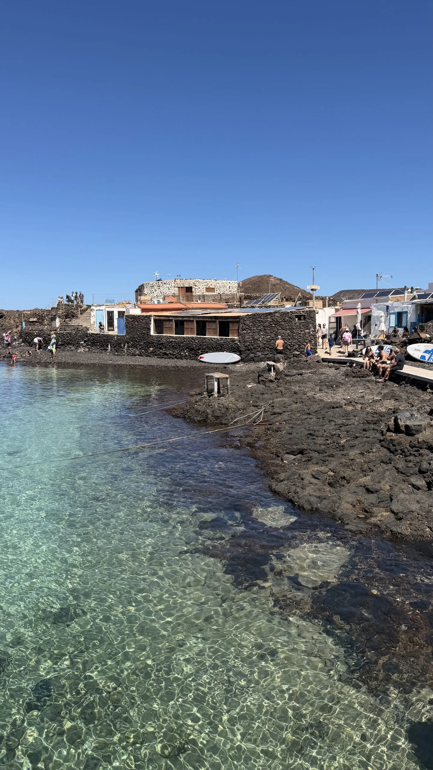 5-Hour Catamaran Cruise to Isla de Lobos with Transfer from the South