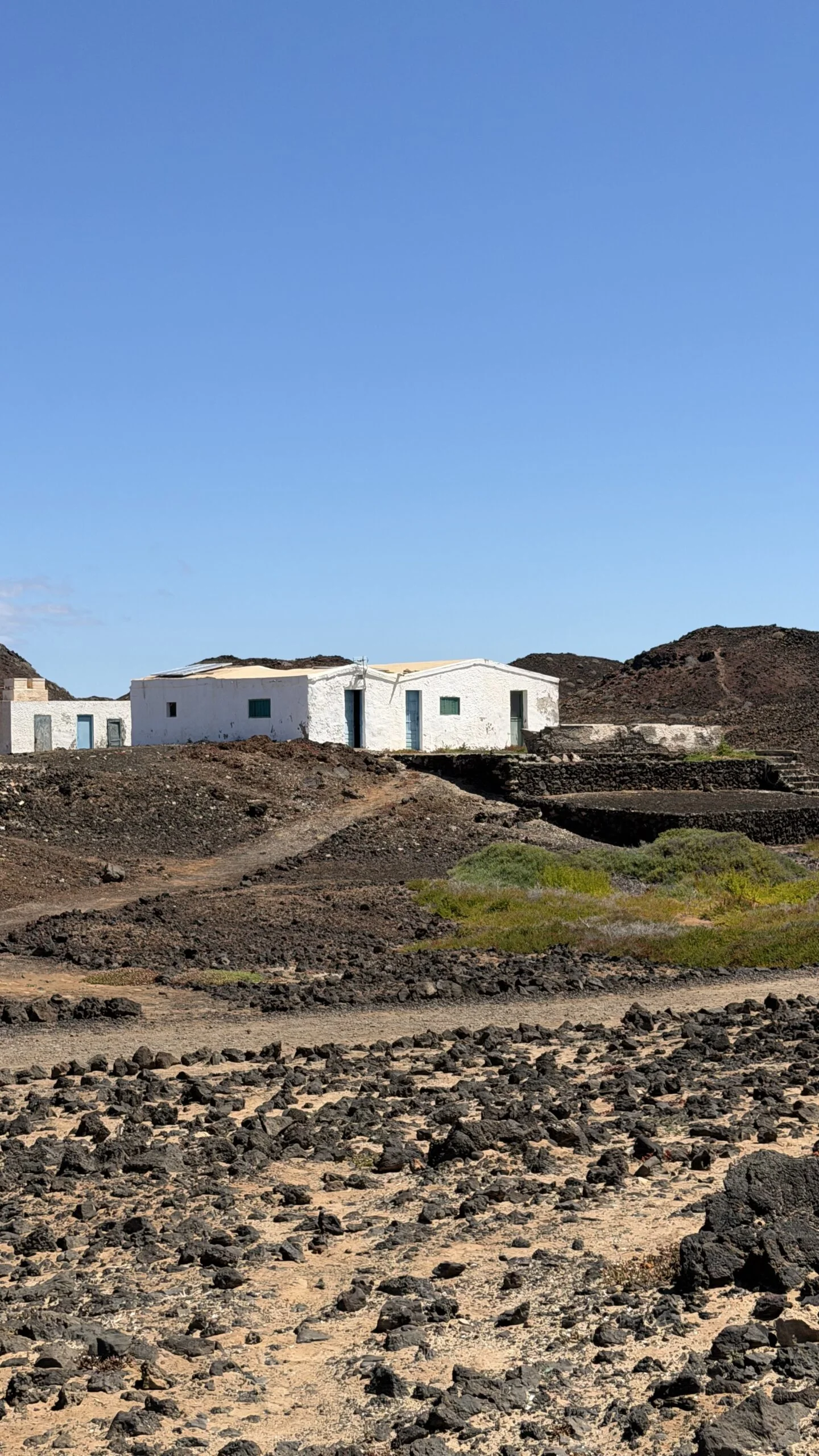 5-Hour Catamaran Cruise to Isla de Lobos with Transfer from the South