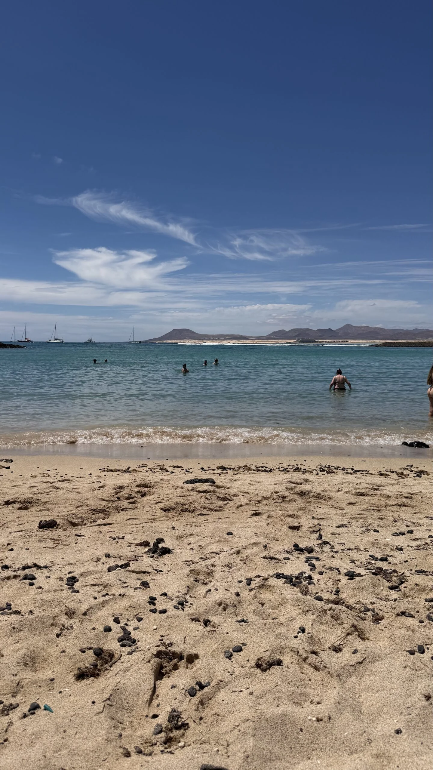 5-Hour Catamaran Cruise to Isla de Lobos with Transfer from the South