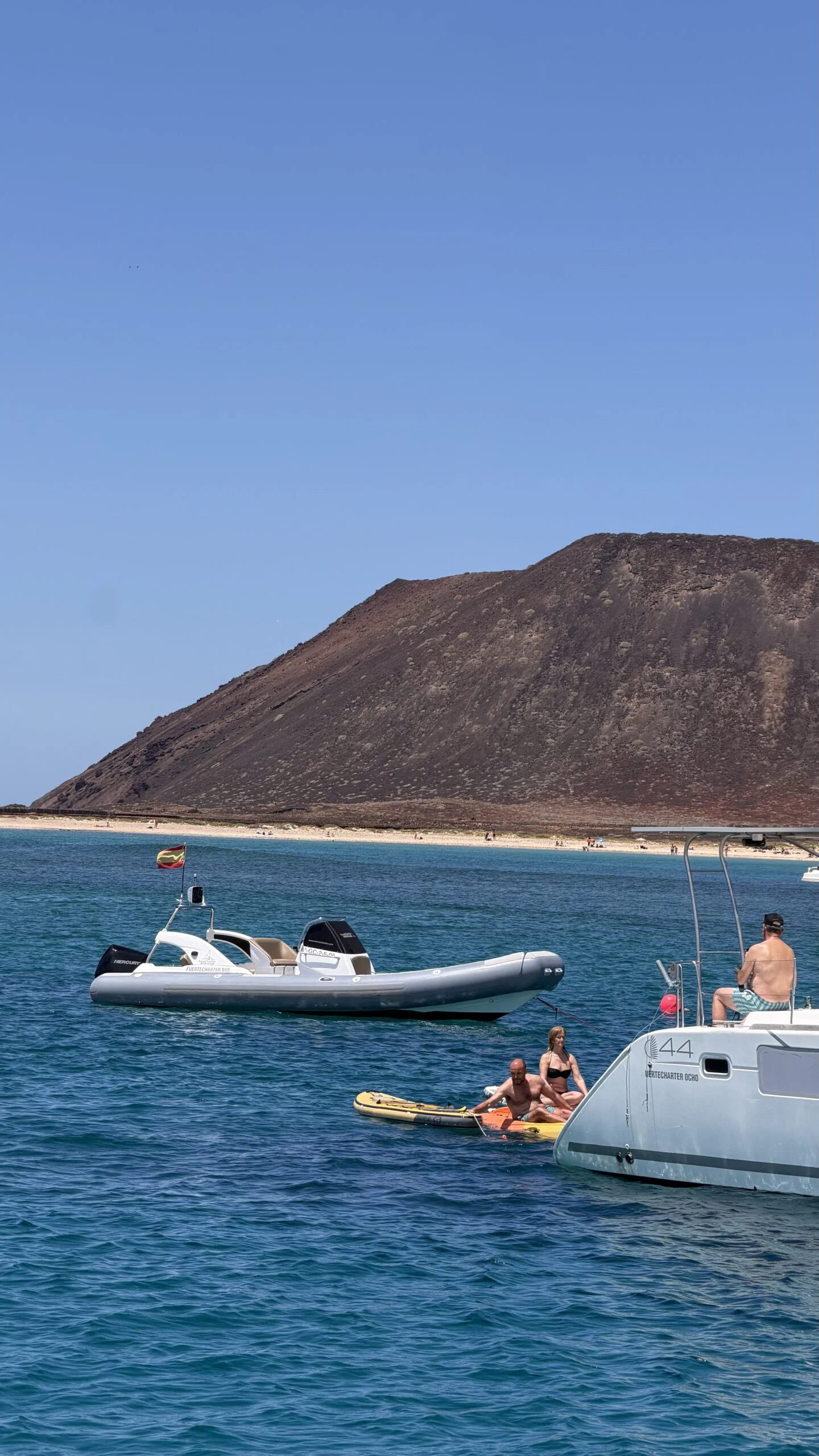 5-Hour Catamaran Cruise to Isla de Lobos with Transfer from the South