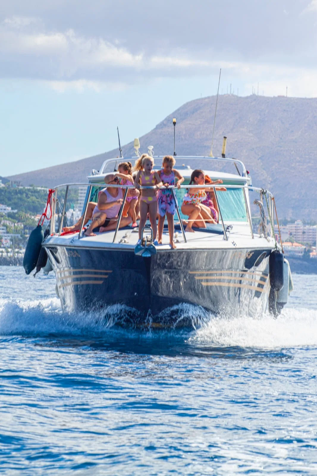 Yacht cruise dolphin and whale watching