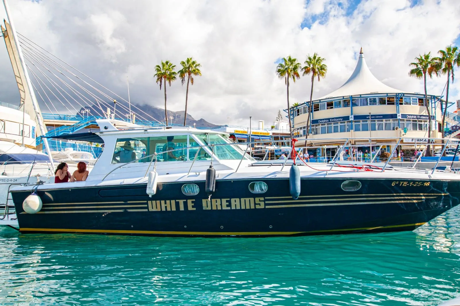 Yacht cruise dolphin and whale watching